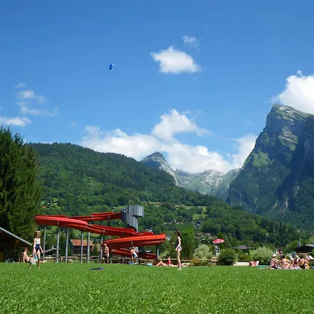 1100 Morillon